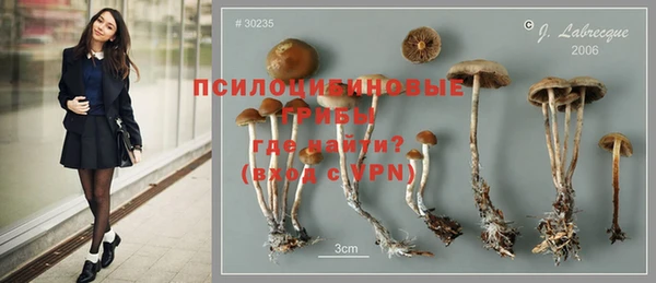 прущая мука Абаза