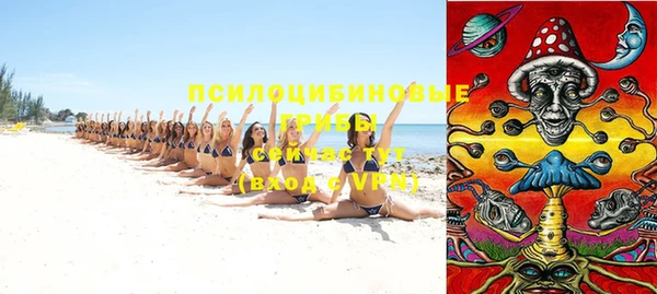 прущая мука Абаза