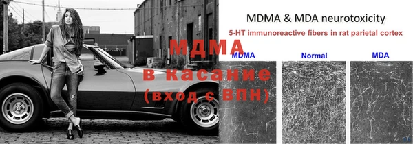 шишки Пересвет